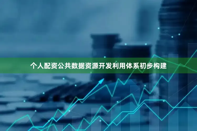 个人配资公共数据资源开发利用体系初步构建
